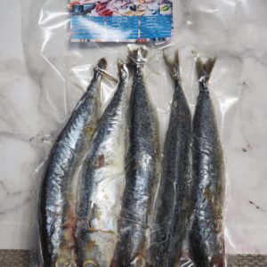 Ikan Salem isi 5